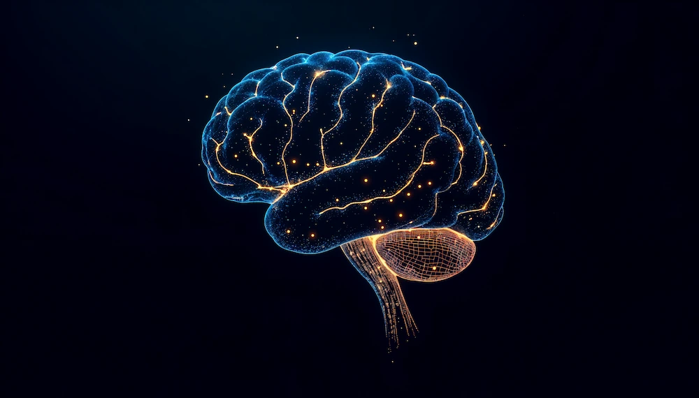 Neural pathways in the brain activated by scripting manifestation protocols.