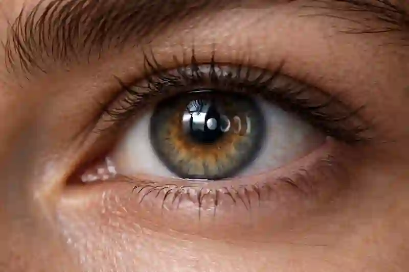 Extreme close-up of an eye with iris detail, representing nervous system money safety and hypothalamus audit.