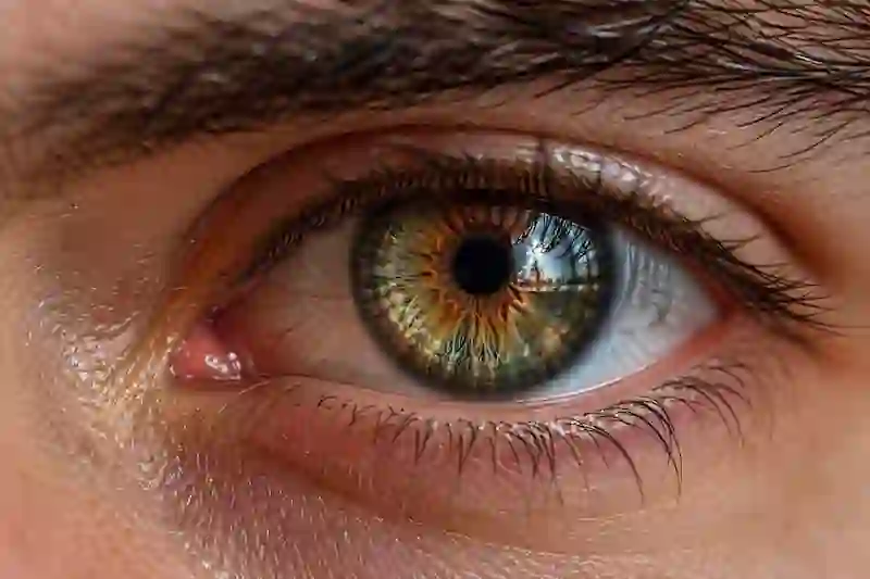 Macro shot of an eye with micro-veins, representing neuroplasticity and Sun vs Moon signs manifestation.